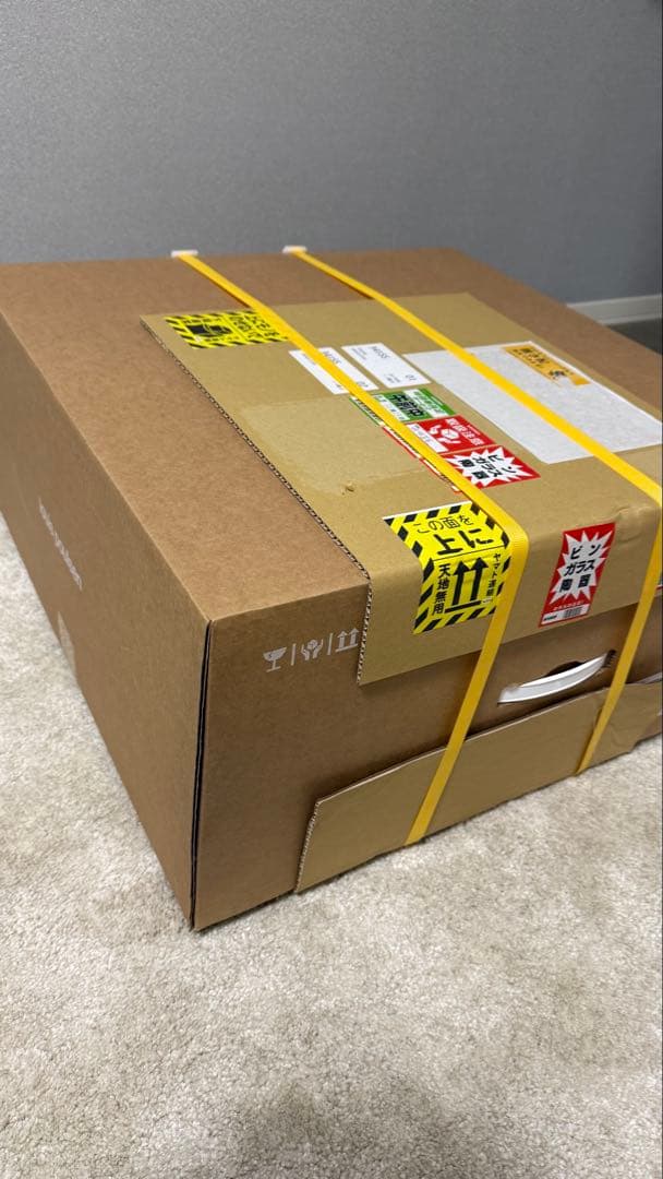 【新品未開封】ルイスポールセン　louis poulsen ph5 半年待ち品