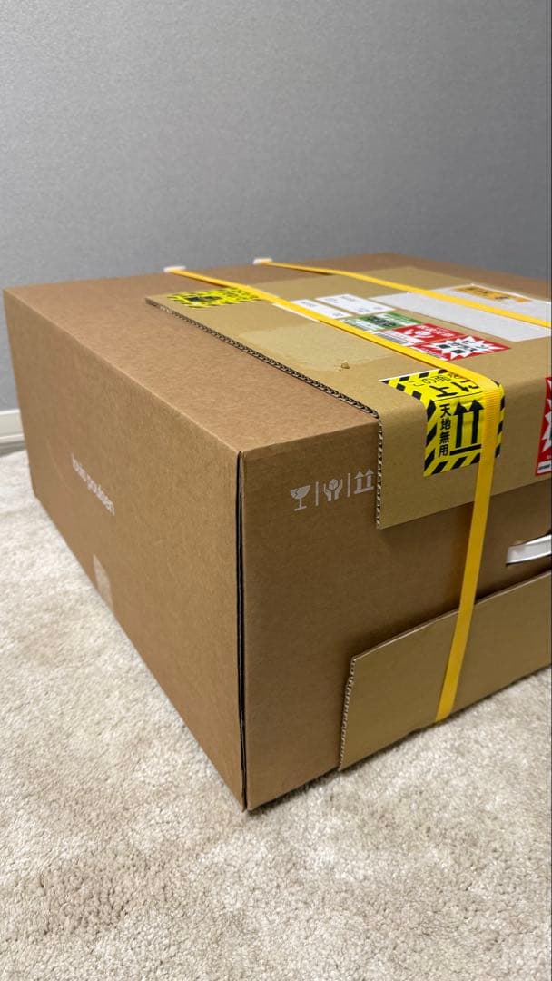 【新品未開封】ルイスポールセン　louis poulsen ph5 半年待ち品