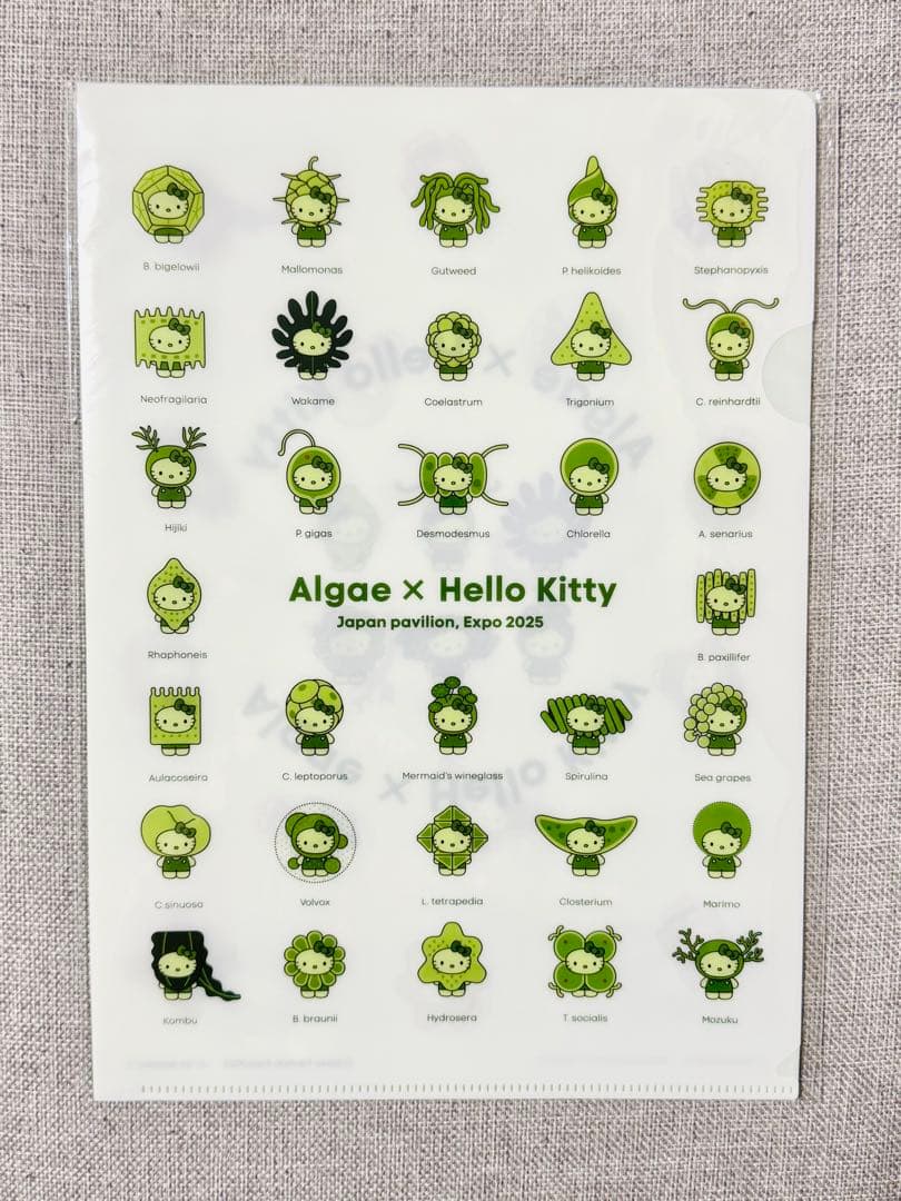 新品未開封ハローキティ クリアファイル2枚セット 藻キティ 万博2025
