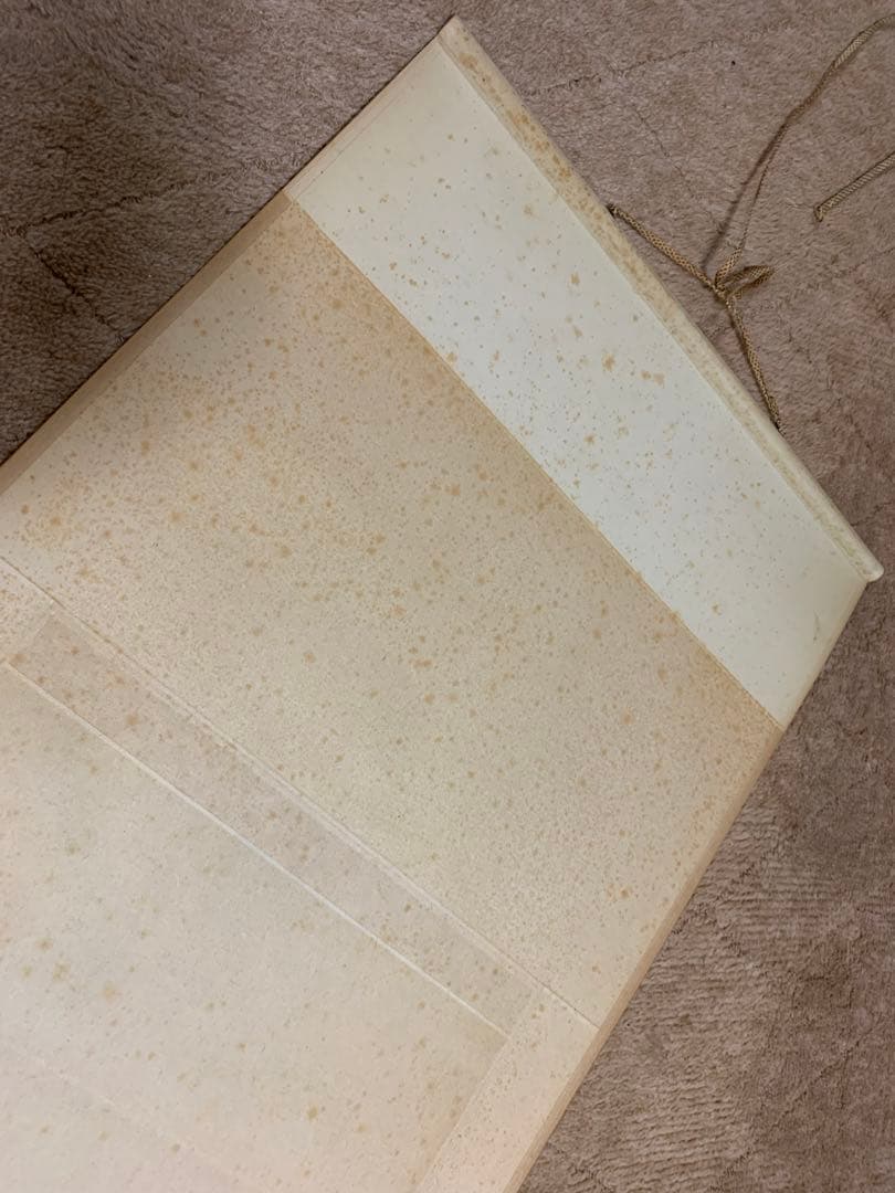 掛け軸  親子虎