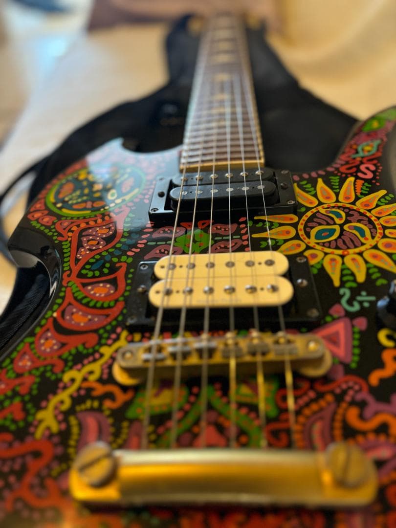 Fernandes MG-120X/145X/165X（hideサイケモデル） - メルカリ