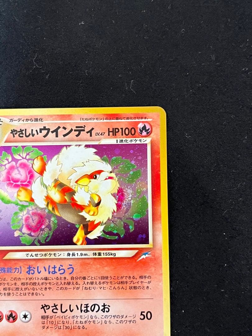 ソ*ウ様 やさしいウィンディ 旧裏