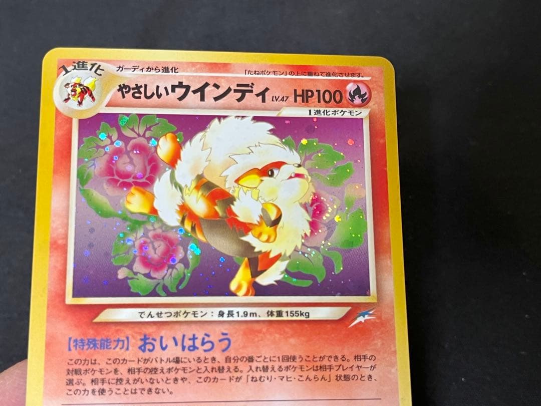 ソ*ウ様 やさしいウィンディ 旧裏