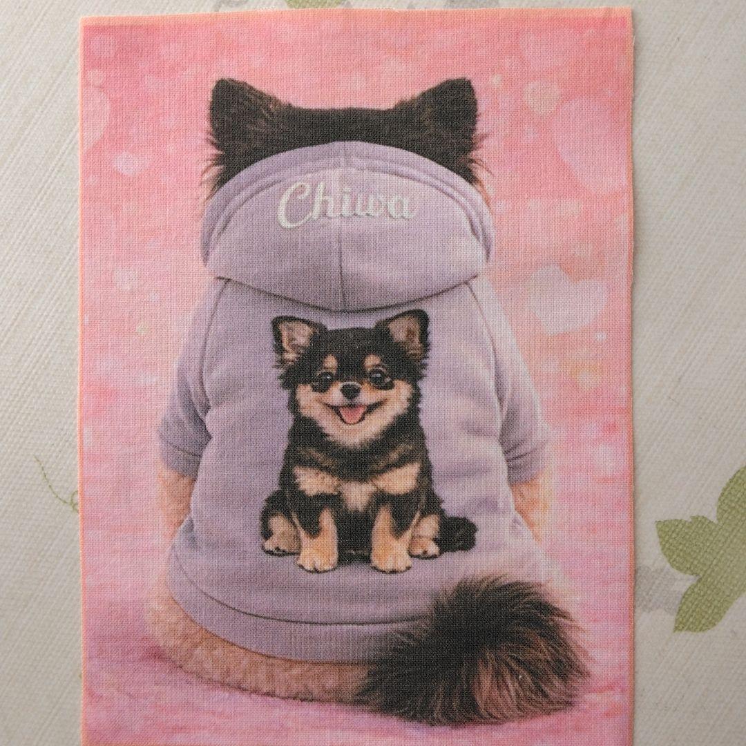 ☆受付☆ チワワ