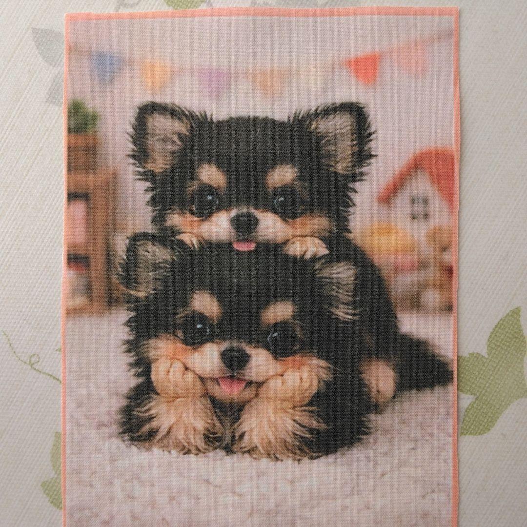 ☆受付☆ チワワ