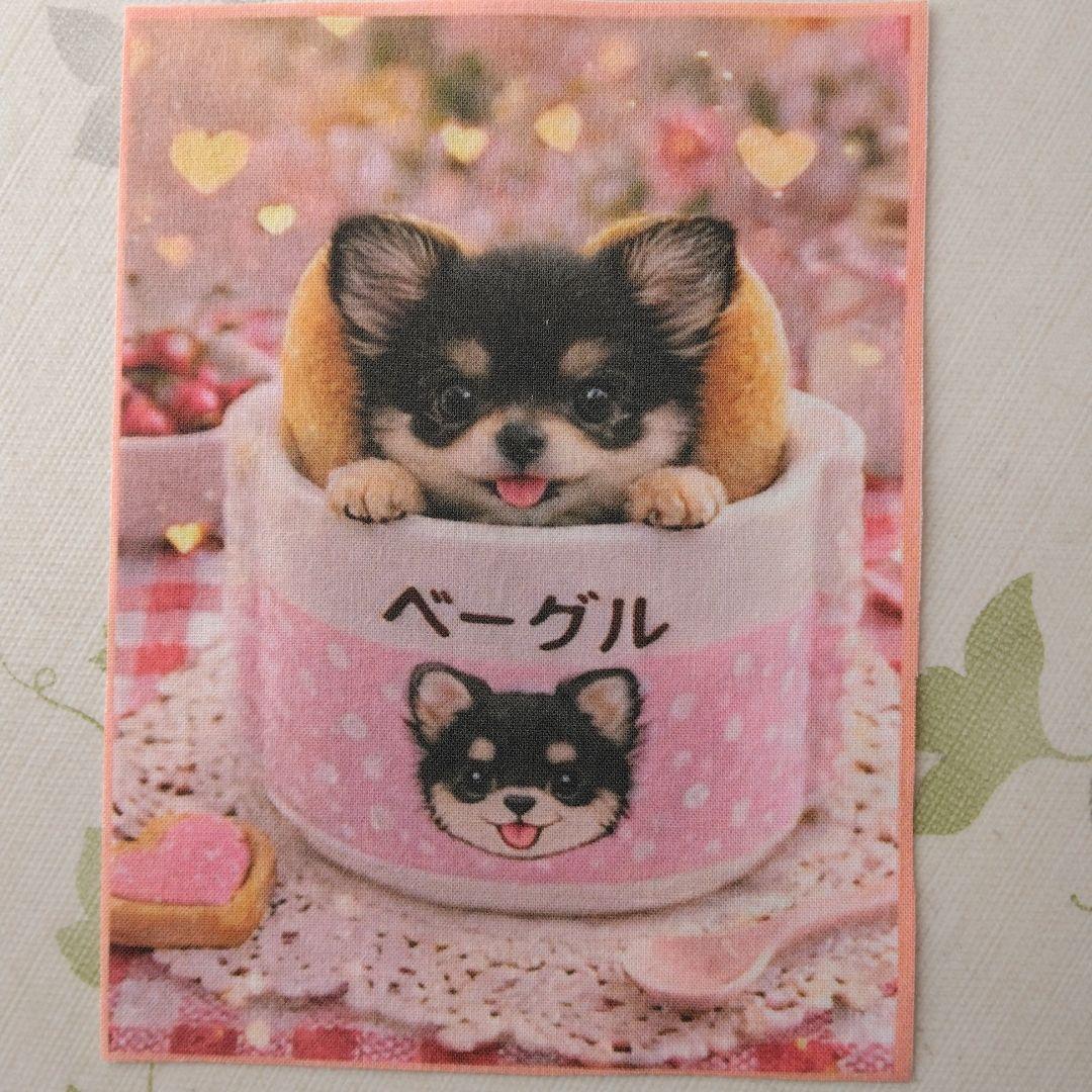 ☆受付☆ チワワ