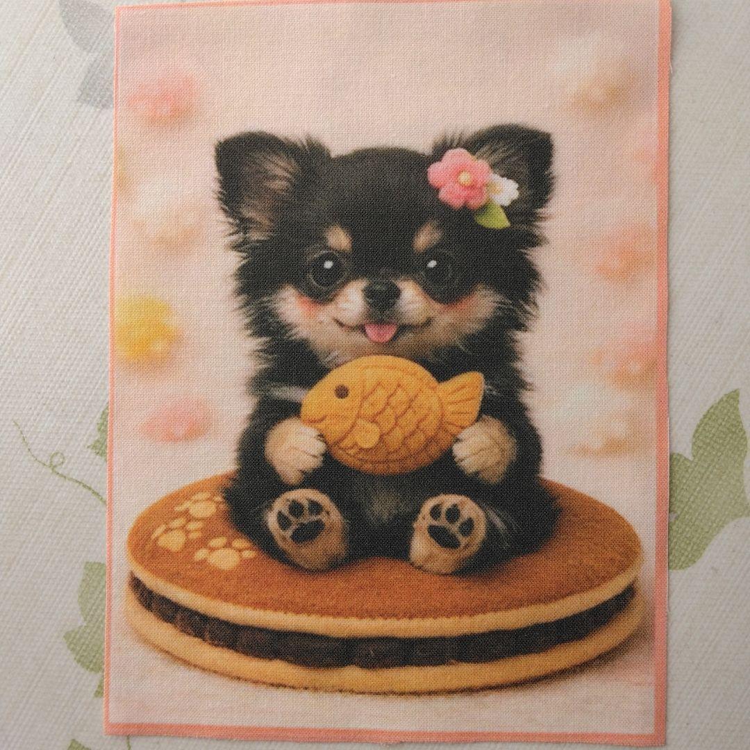 ☆受付☆ チワワ