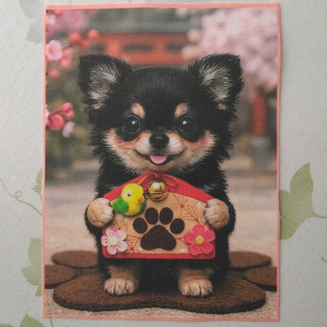 ☆受付☆ チワワ