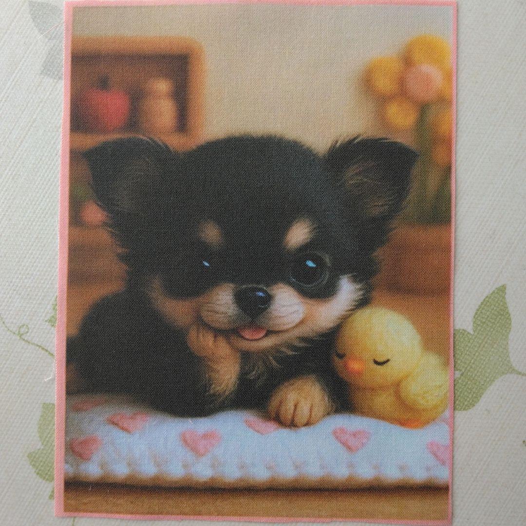 ☆受付☆ チワワ