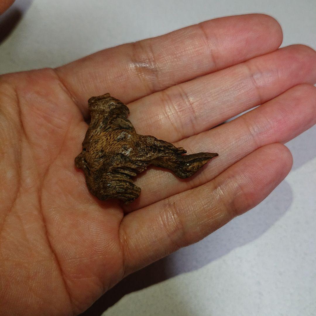 香木 沈香 伽羅 聞香◎品名ベトナム・ダナン産