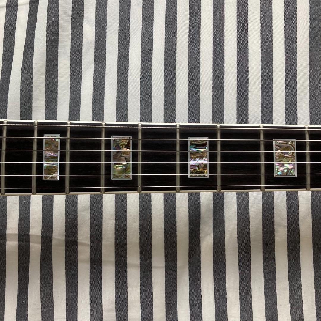 フジゲン レスポール タイムレスティンバー BAT-20TT 黒 Sugi 美品