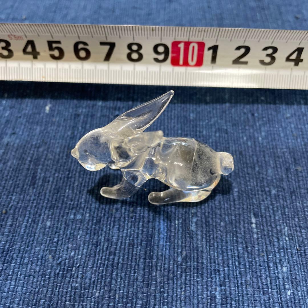 うさぎ　ウサギ　兎