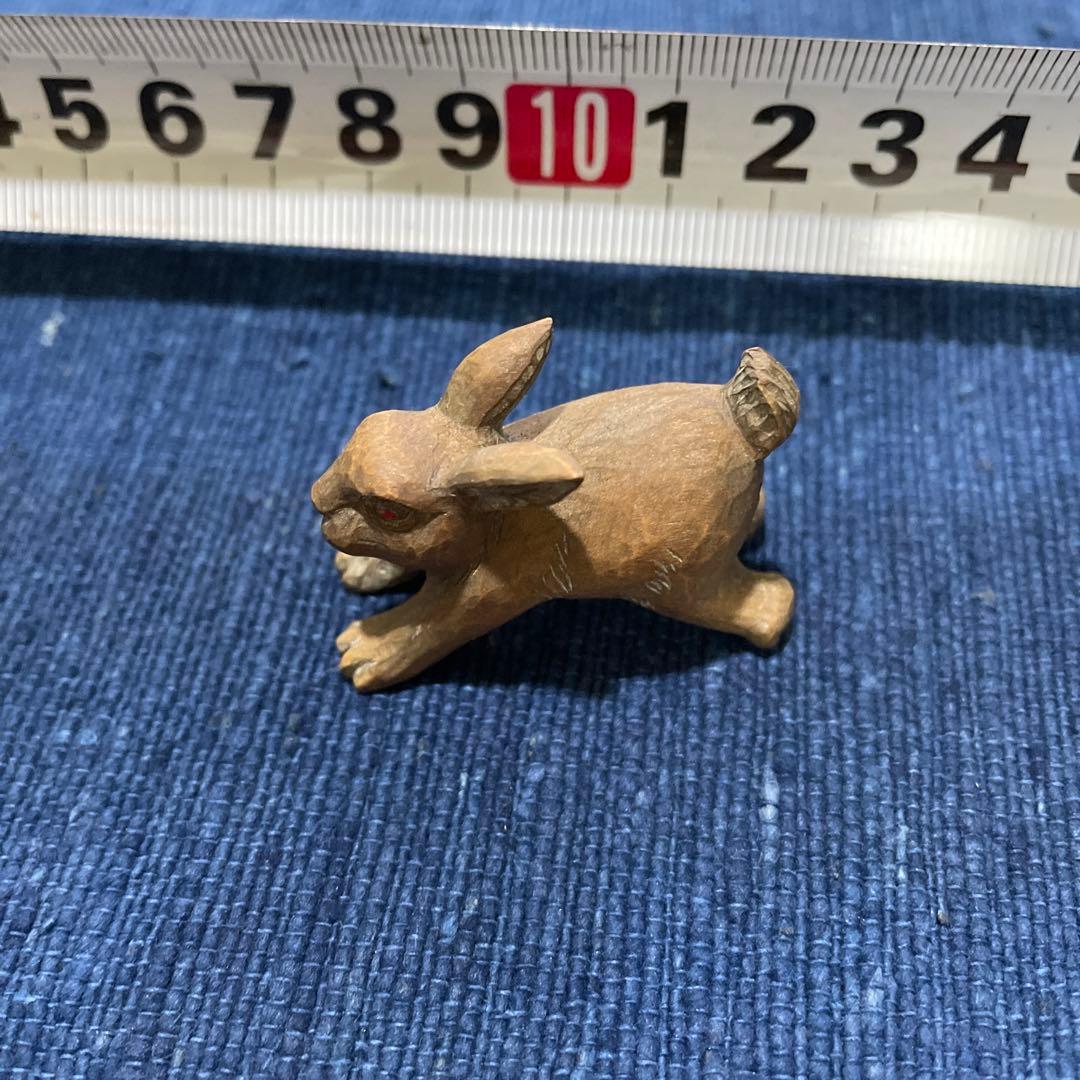 うさぎ　ウサギ　兎