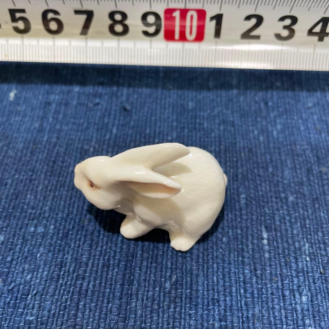 うさぎ　ウサギ　兎