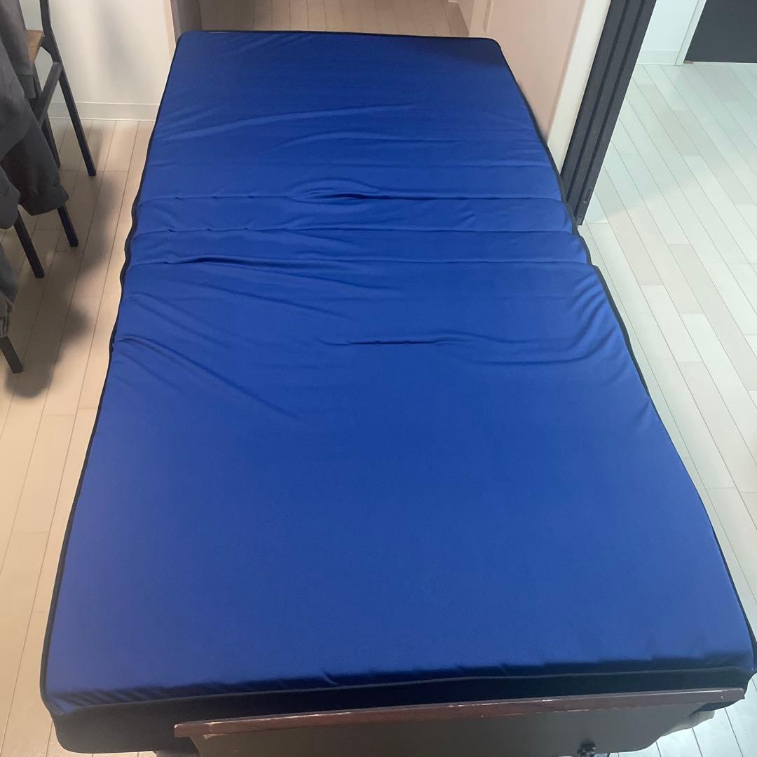 背/足先 電動リクライニングベッド（シングル）折りたたみ収納可/介護利用可