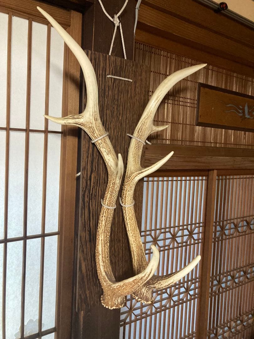 鹿の角 壁掛け インテリア