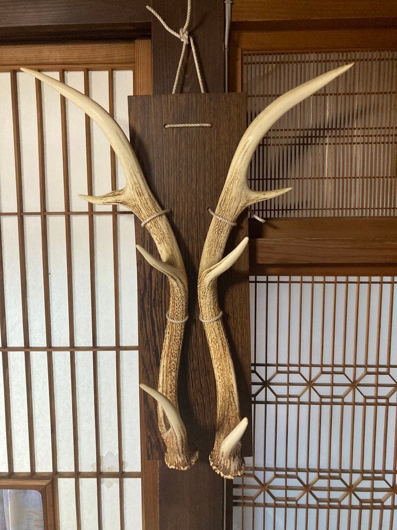 鹿の角 壁掛け インテリア