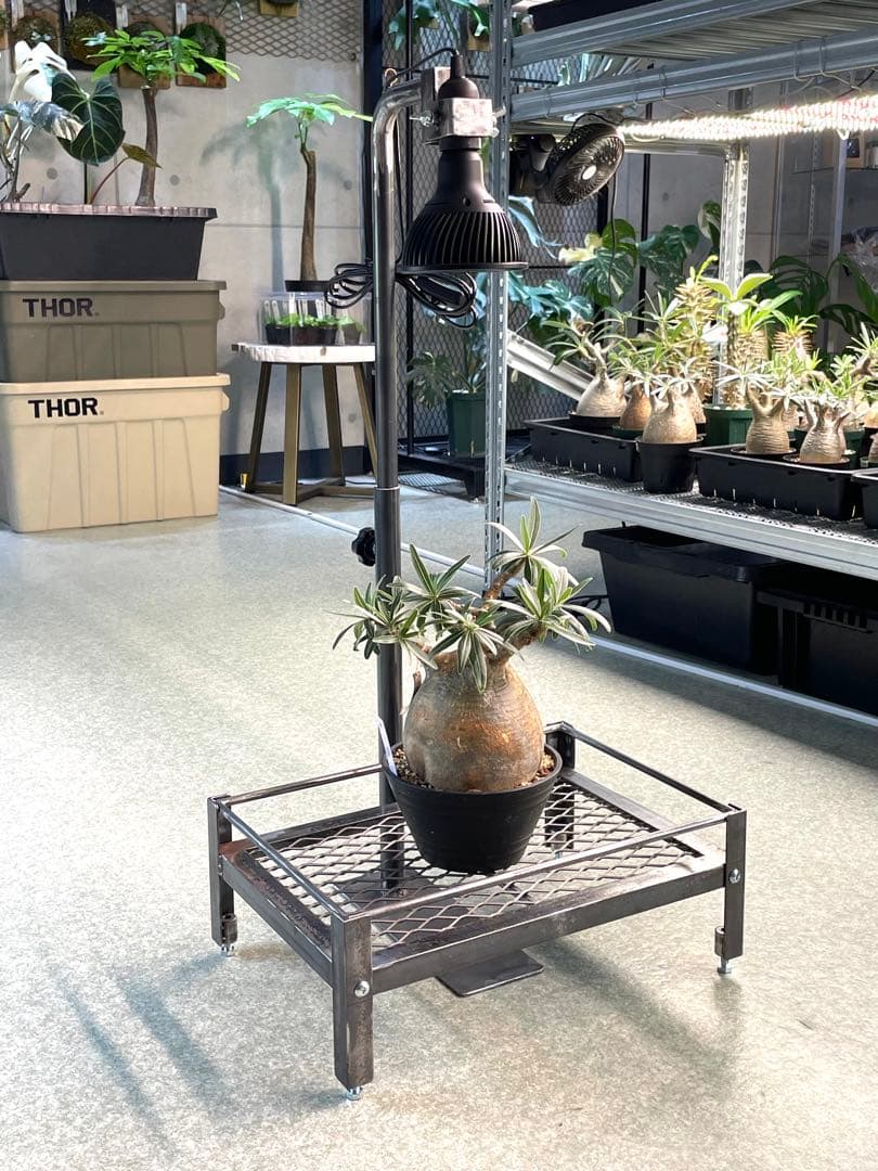 1台現品　塗装前完成品　ミニ植物棚　ライト特別使用。電源用ライトソケット付き。