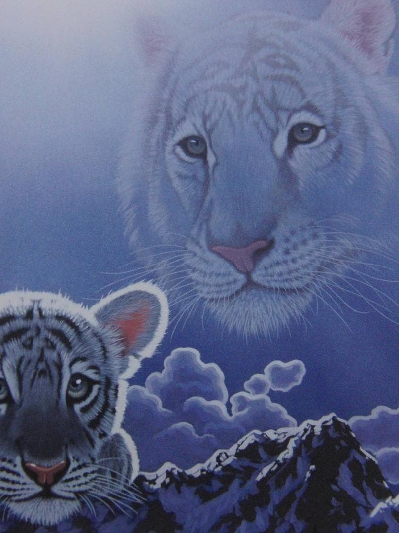 シム・シメール、【Ray of Hope】、希少な額装用画集より、状態良好