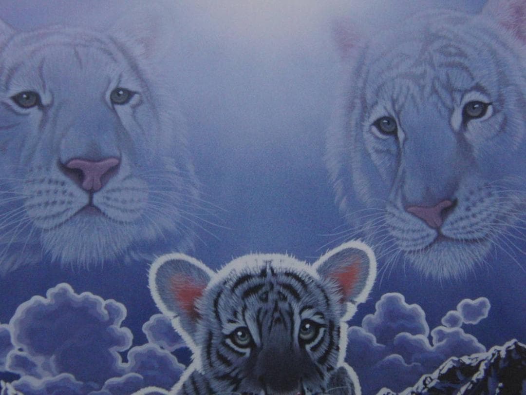 シム・シメール、【Ray of Hope】、希少な額装用画集より、状態良好