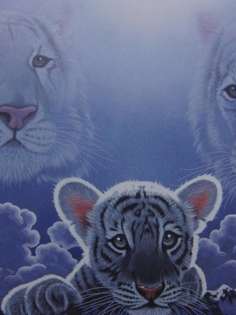 シム・シメール、【Ray of Hope】、希少な額装用画集より、状態良好