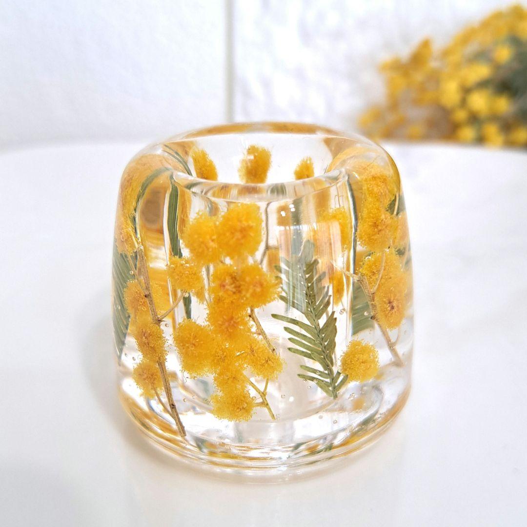 No.723 イタリアミモザ＆リーフ♡固まるハーバリウムペン立て