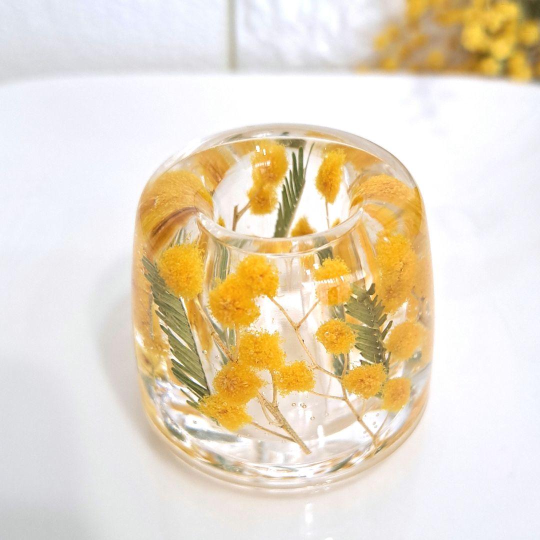 No.723 イタリアミモザ＆リーフ♡固まるハーバリウムペン立て