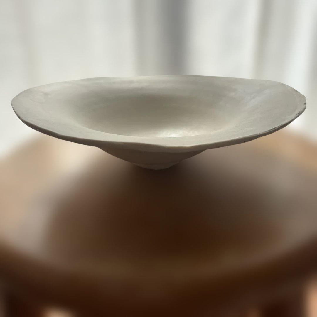 新品未使用河合和美さんボウルプレート