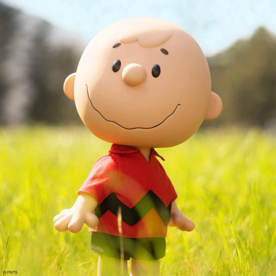 PEANUTS スヌーピー チャーリーブラウン 大型 フィギュア限定Super7