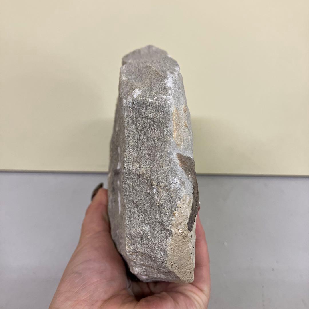 E-4 希少 魚の化石 2匹セット 古代魚 標本 石板 インテリア 置物 観賞用