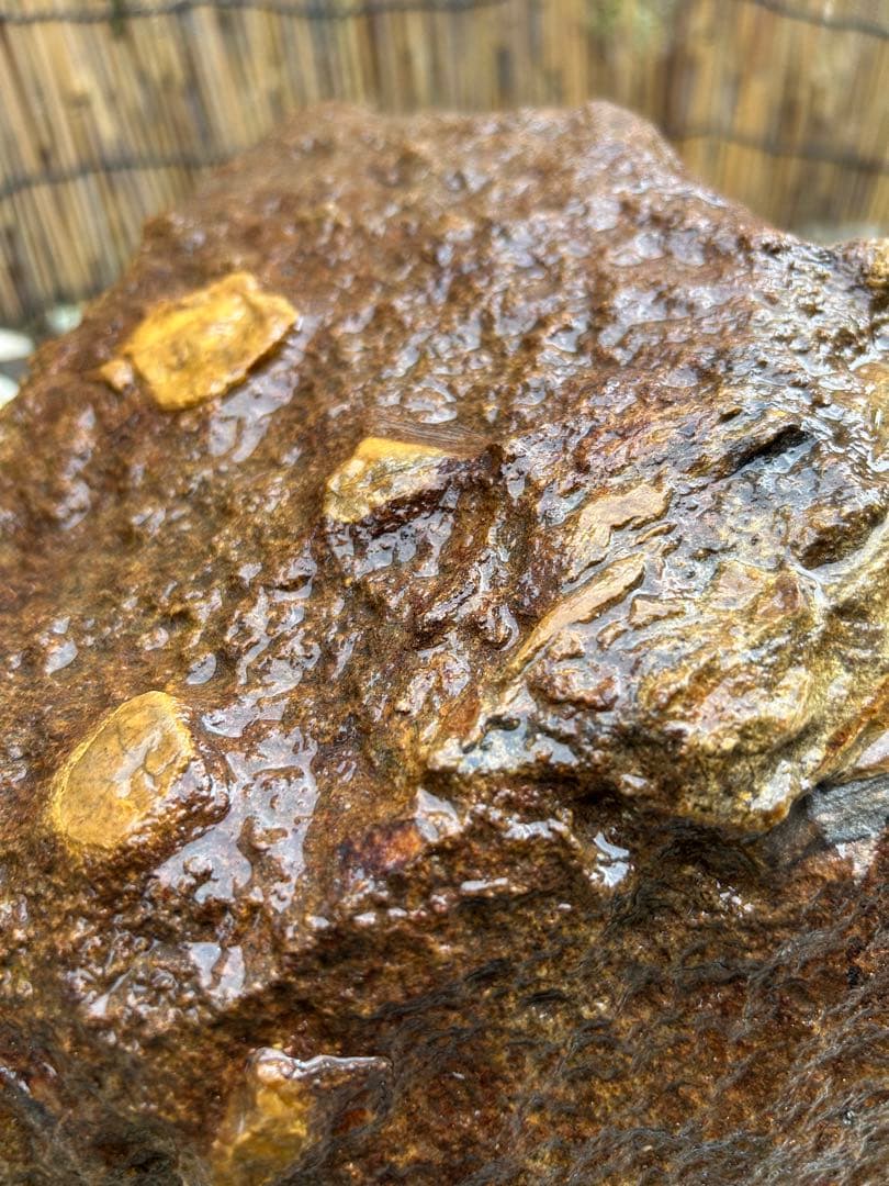 京の銘石『本鞍馬石』