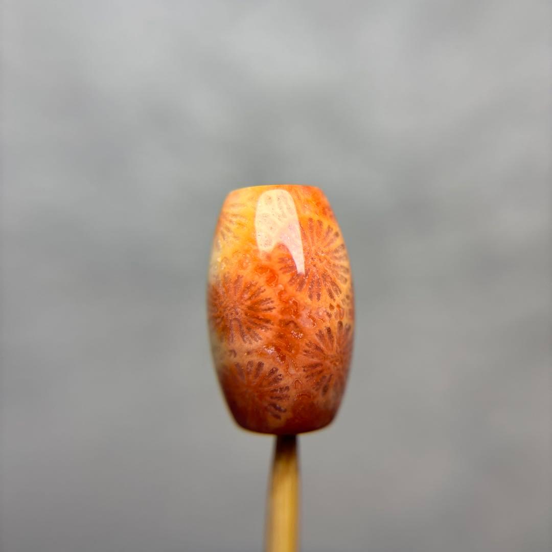 もんちゃんフォッシルコーラル　天珠　1-319