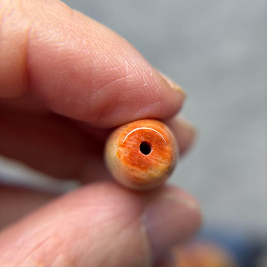 もんちゃんフォッシルコーラル　天珠　1-319