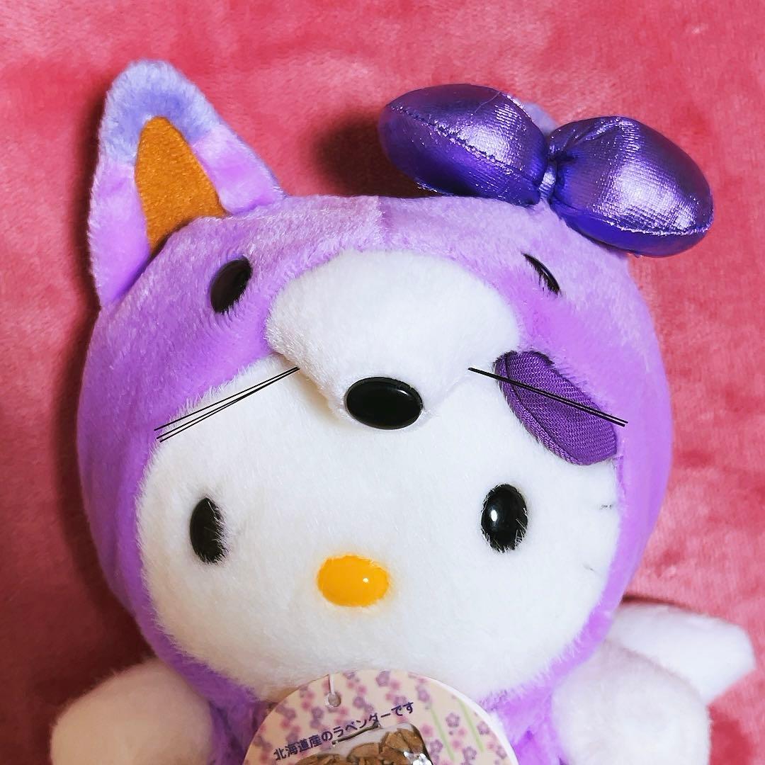 希少レア　ハローキティ　ご当地　北海道ラベンダー　カッパ　2001年製 サンリオ