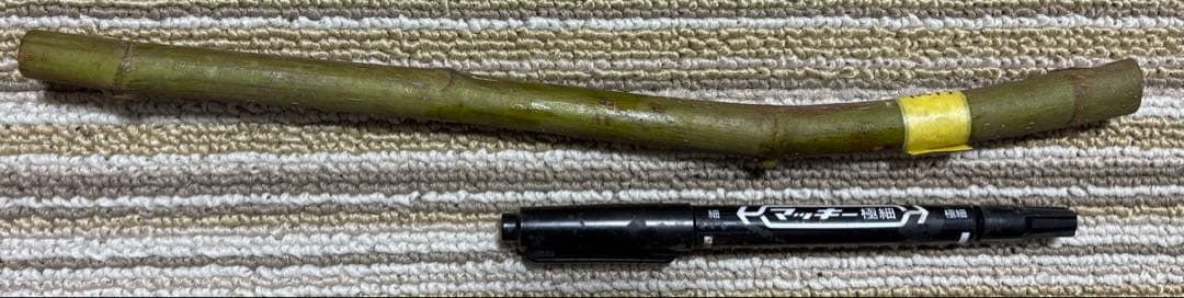 i_rord55様専用出品 イチジクAmarcord （ アマルコルド ） 穂木 - メルカリ