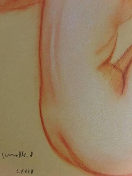 古沢　岩美、デッサン　Ｙ、希少な額装用画集より、新品額装付、状態良好