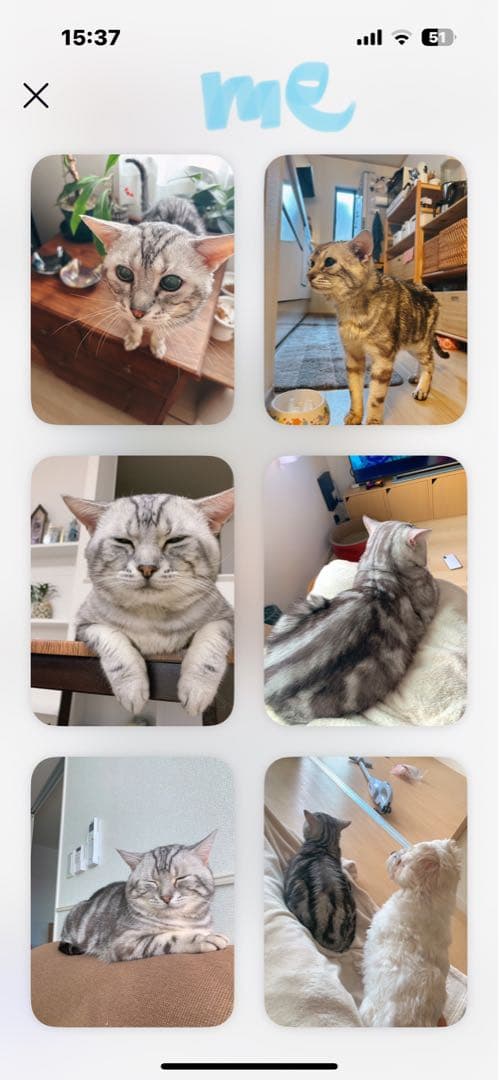 me　うちの子オーダー