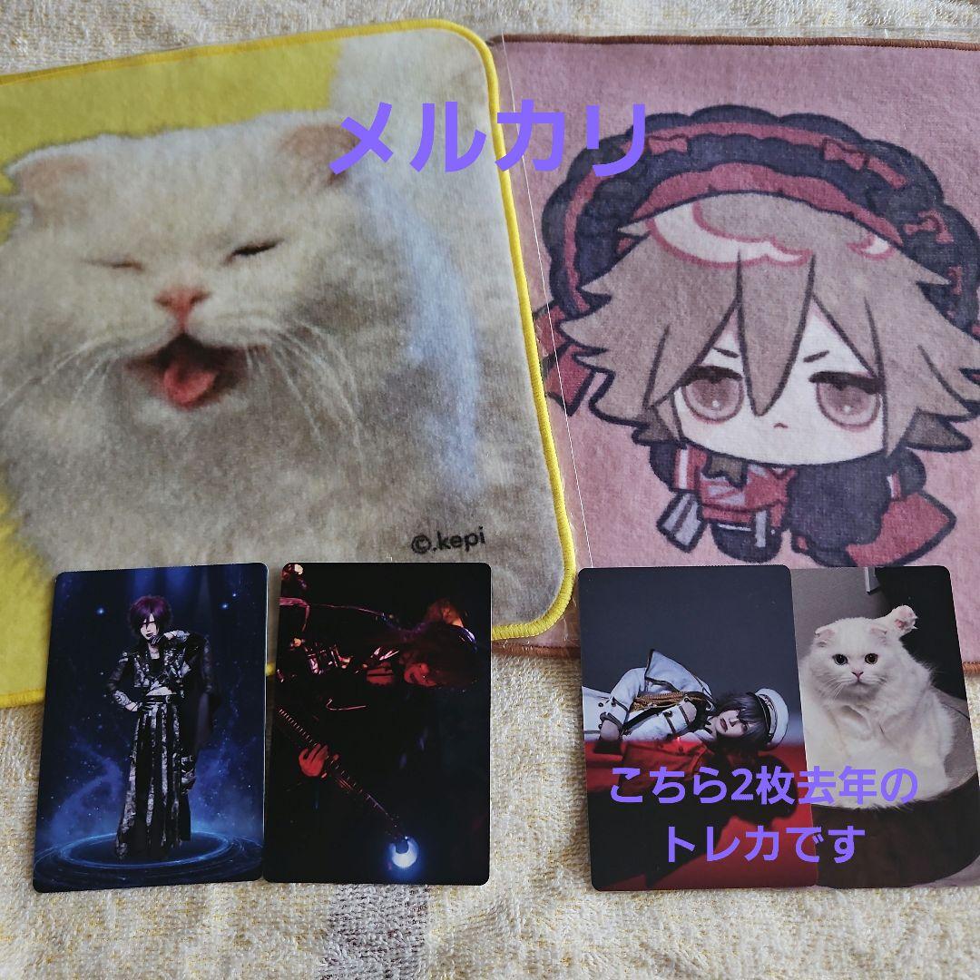 杙凪さん Royz 917 くじ