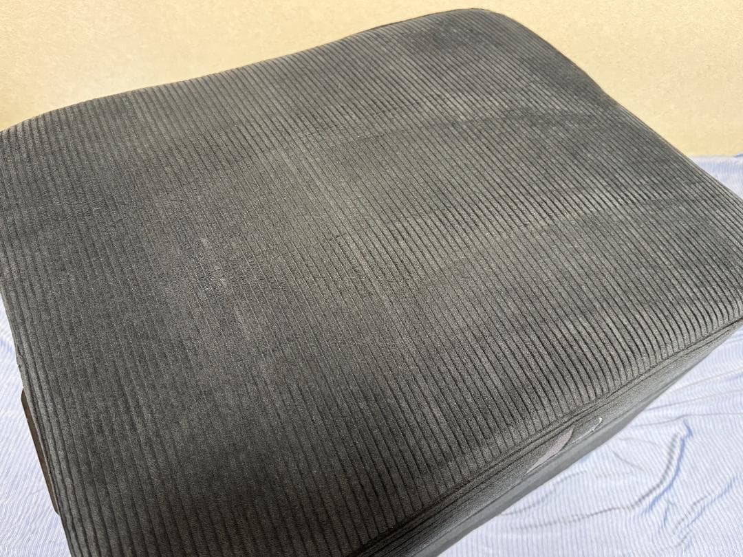 【8/31まで値下中】Bauhutte(バウヒュッテ) ストレージオットマン