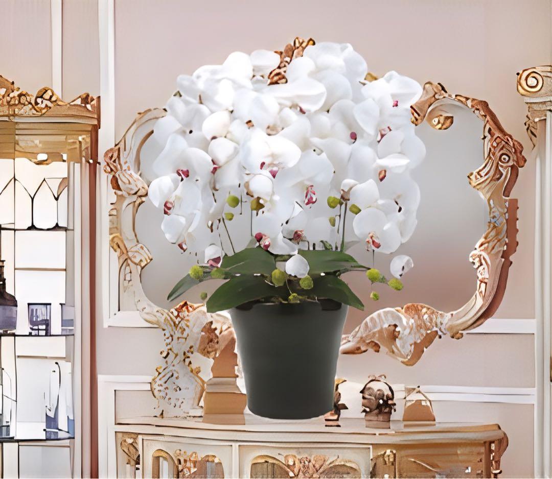 光触媒　人工観葉植物　ウォールグリーン　クィーン胡蝶蘭5本w/ab高さ74センチ