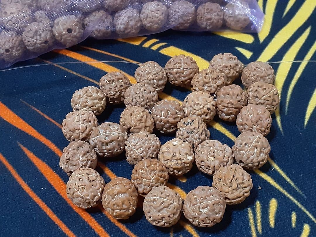 【見本品】ルドラクシャ☆神聖幾何学フラーレン☆菩提樹の実☆シブァの涙　展示品