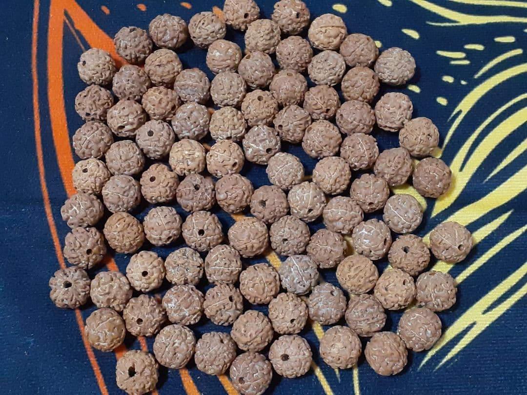 【見本品】ルドラクシャ☆神聖幾何学フラーレン☆菩提樹の実☆シブァの涙　展示品