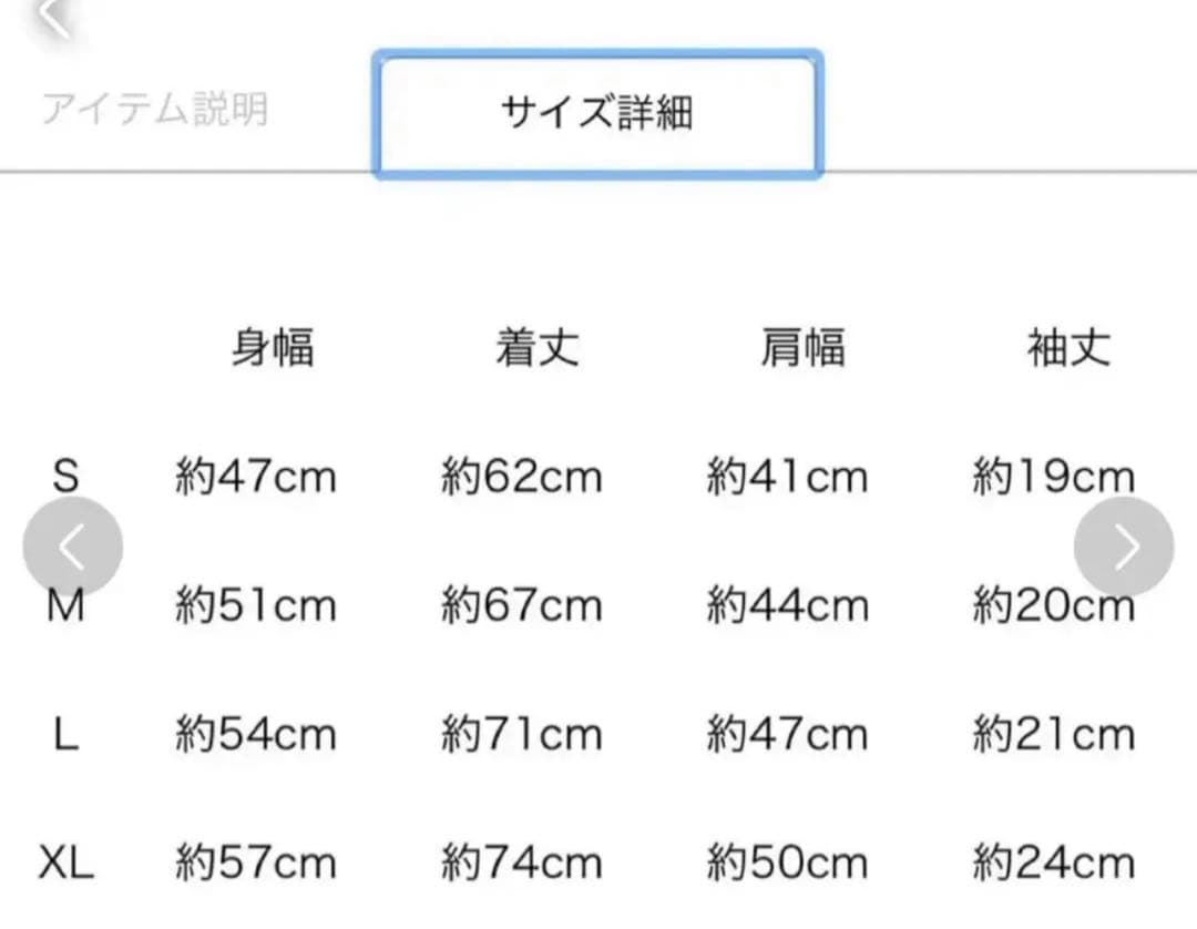 JSB IS BACK フォトTシャツ Lサイズ 受注生産品 JSB3 IS BACK フォトT