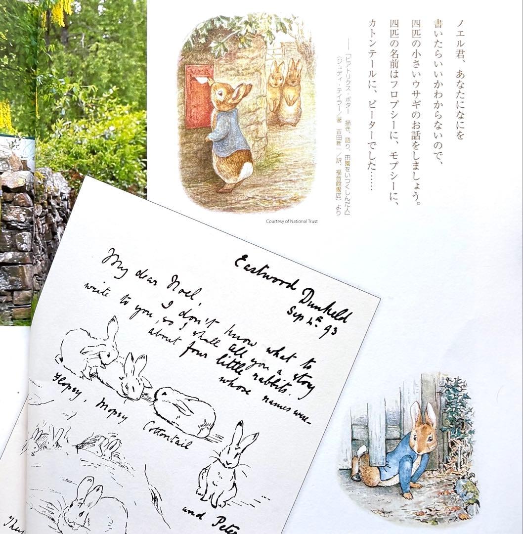 ピーターラビット　◆希少【Peter Rabbit with Radishes】