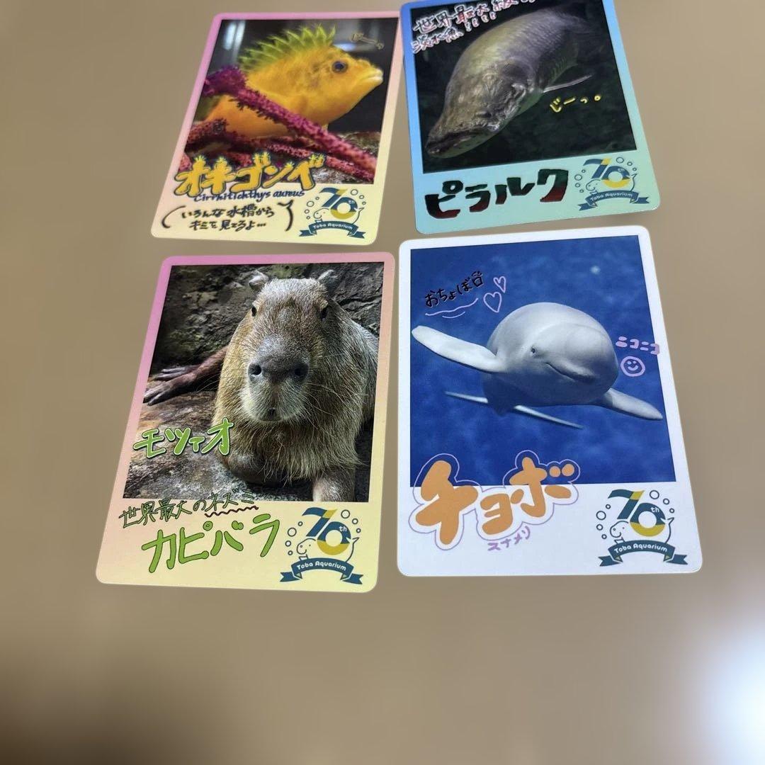 鳥羽水族館 TOBA AQUARIUMコレクションカード - メルカリ