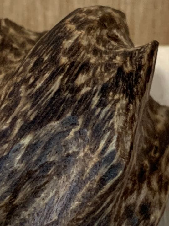 特大 逸品 特割 京都古寺所蔵売切価格天然香木伽羅蜜(香木伽羅沈香)74万円品