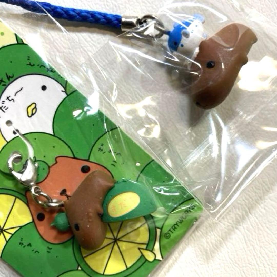 ご当地カピバラさんストラップ21点＆ファスナーマスコット1点