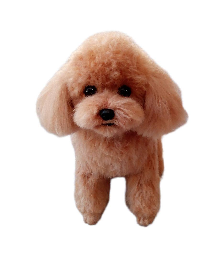 愛犬さんの羊毛フェルトオーダー・Ryzen様ご確認専用ページ