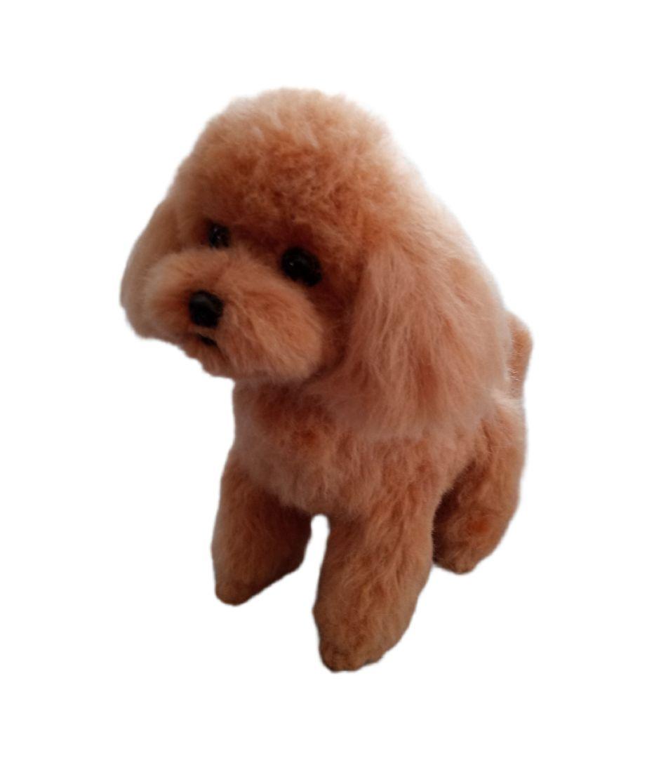 愛犬さんの羊毛フェルトオーダー・Ryzen様ご確認専用ページ