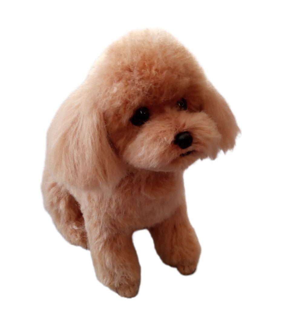 愛犬さんの羊毛フェルトオーダー・Ryzen様ご確認専用ページ